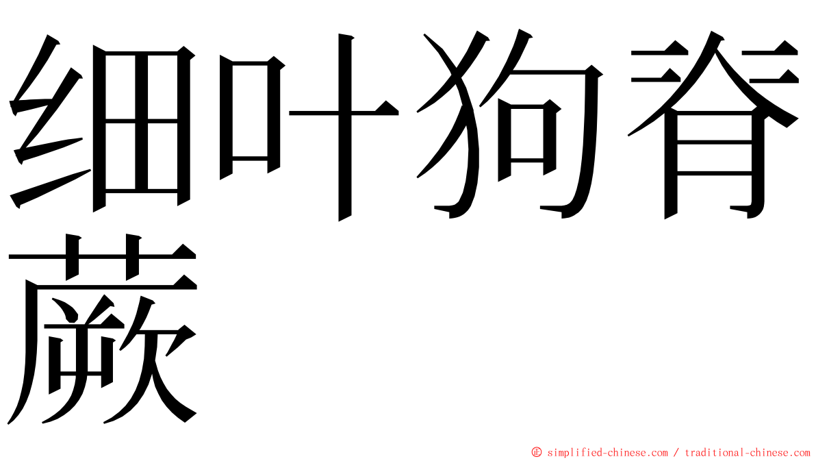 细叶狗脊蕨 ming font