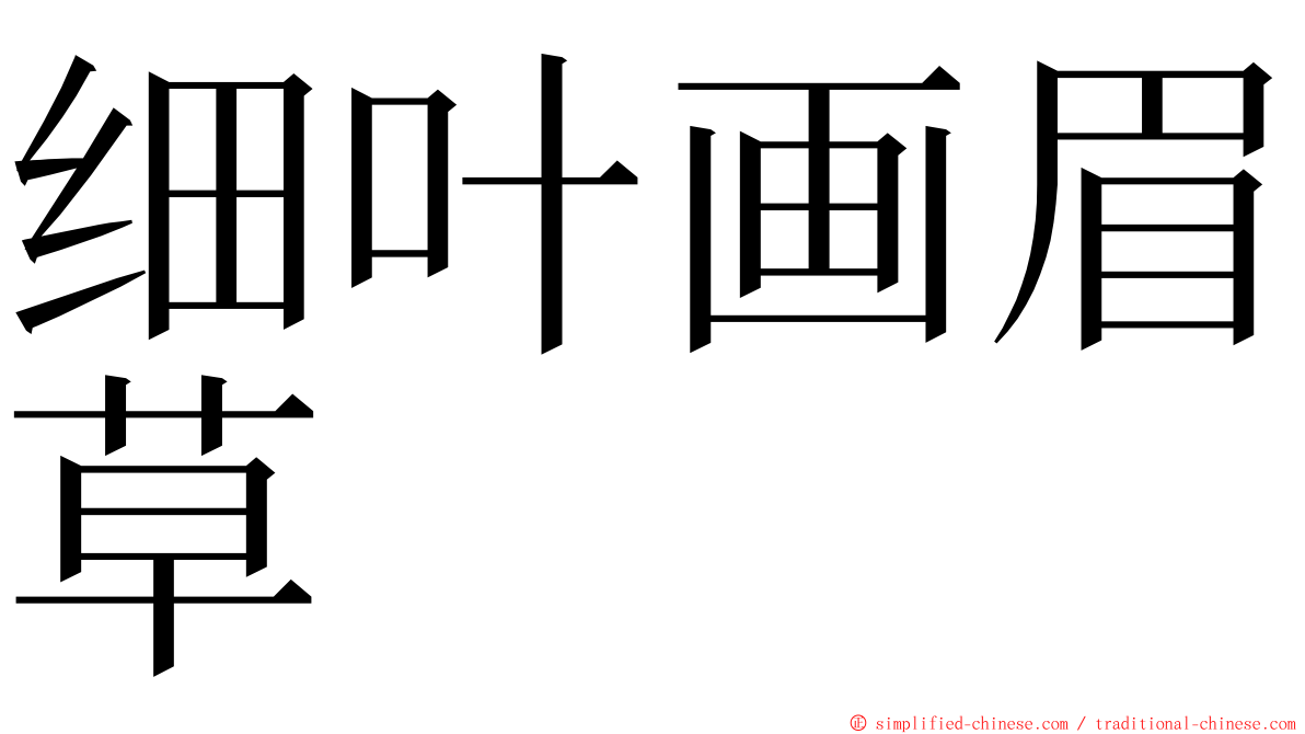 细叶画眉草 ming font