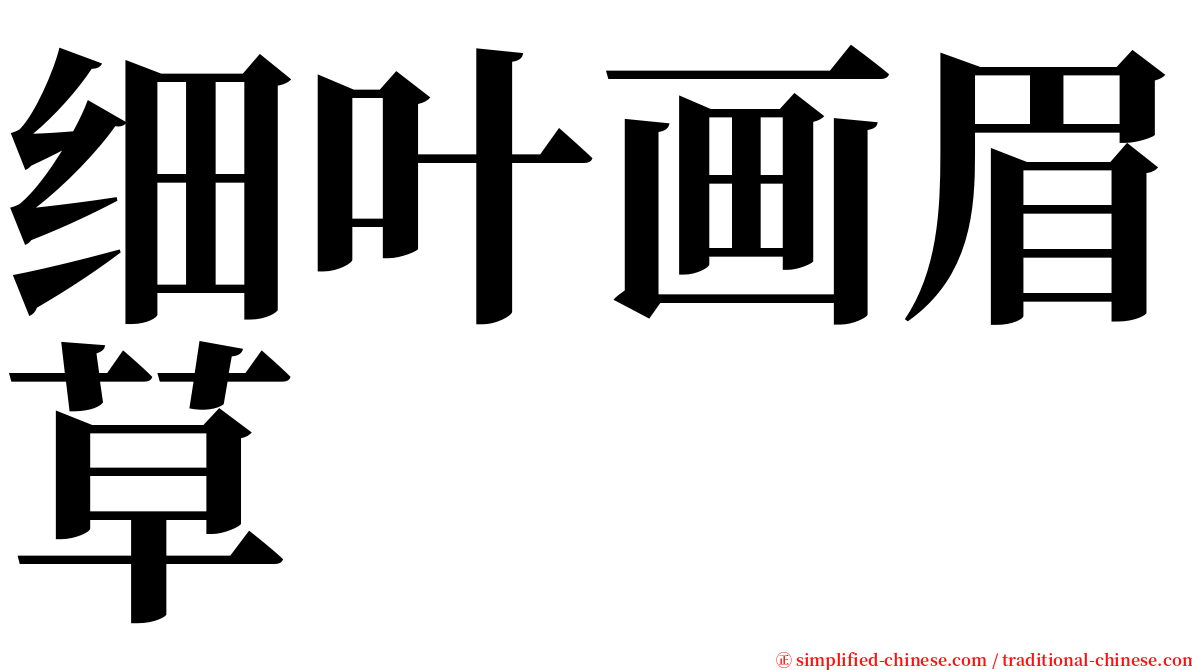 细叶画眉草 serif font