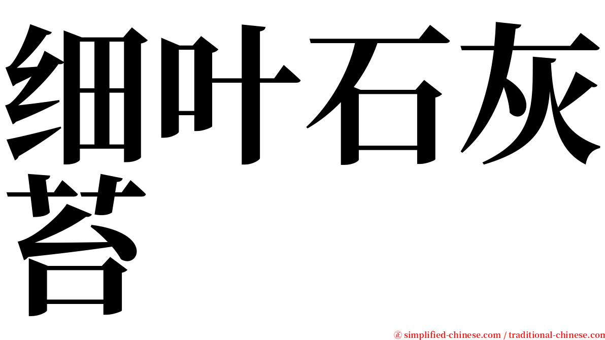 细叶石灰苔 serif font