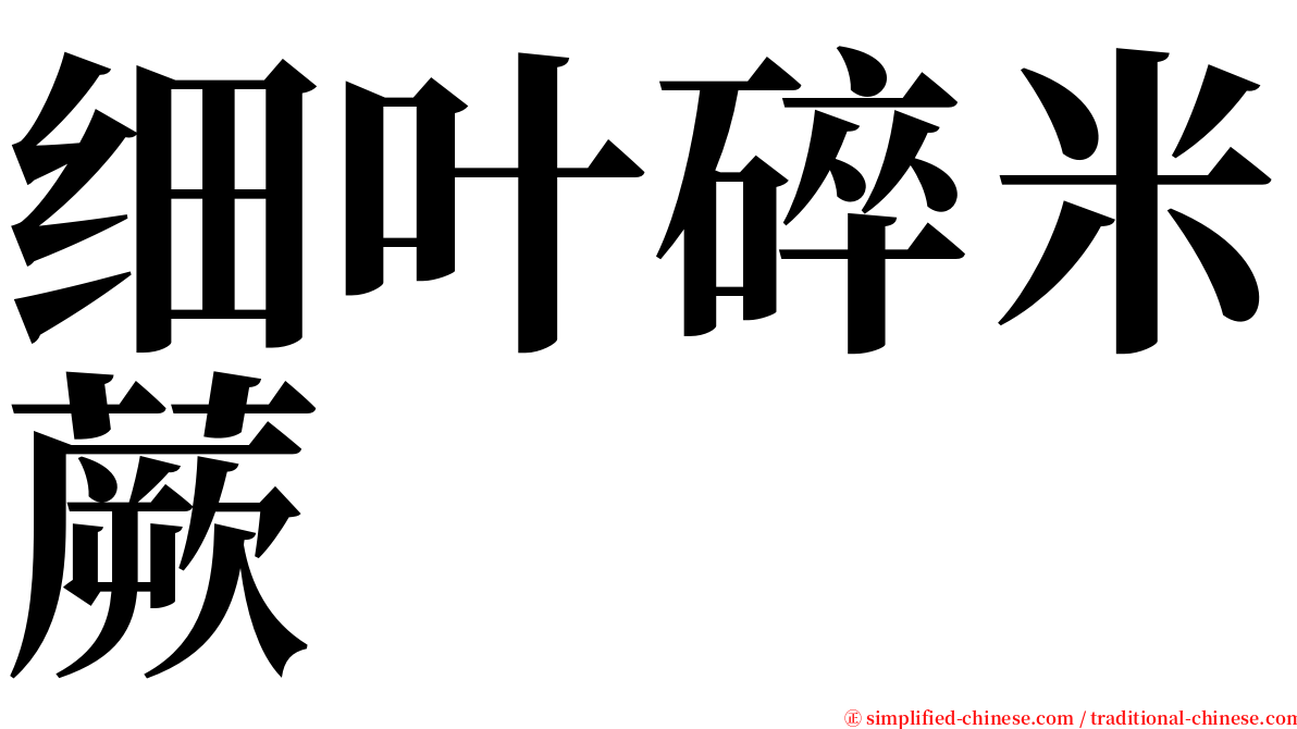 细叶碎米蕨 serif font