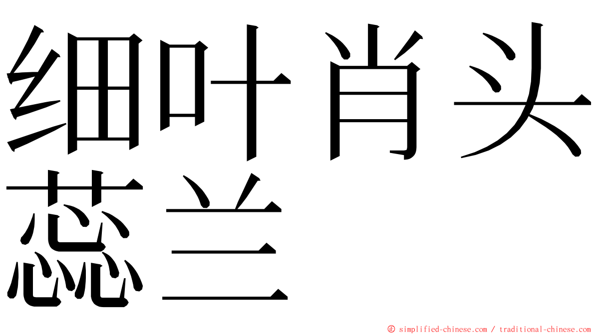 细叶肖头蕊兰 ming font