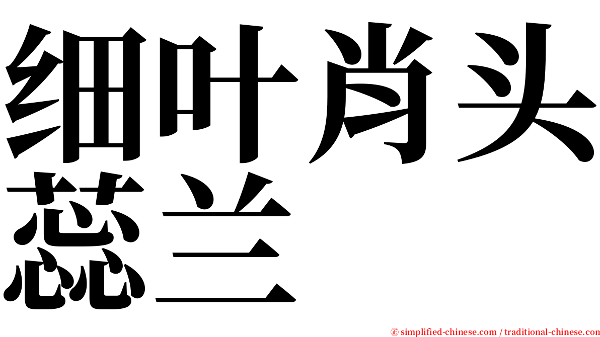 细叶肖头蕊兰 serif font