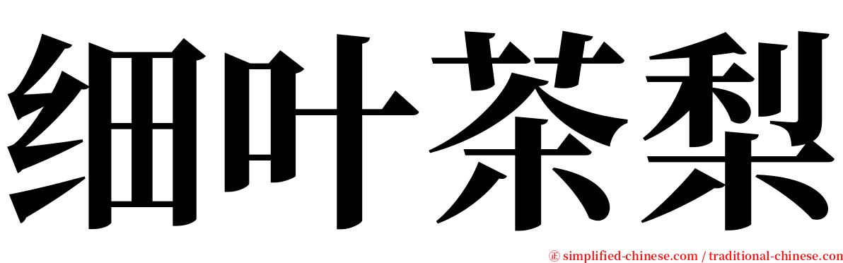 细叶茶梨 serif font