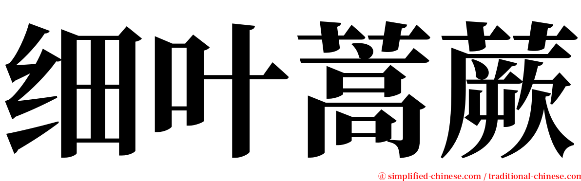 细叶蒿蕨 serif font