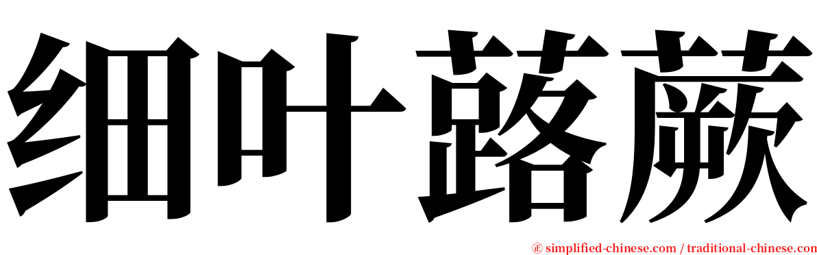 细叶蕗蕨 serif font