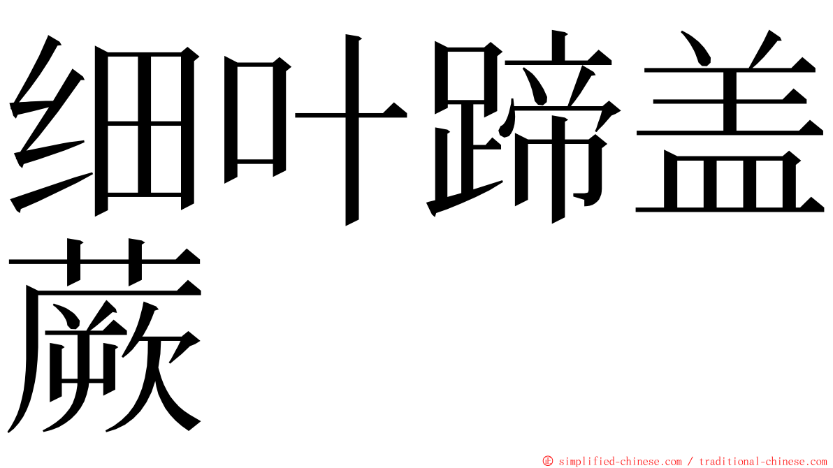 细叶蹄盖蕨 ming font