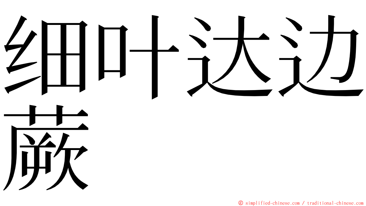 细叶达边蕨 ming font