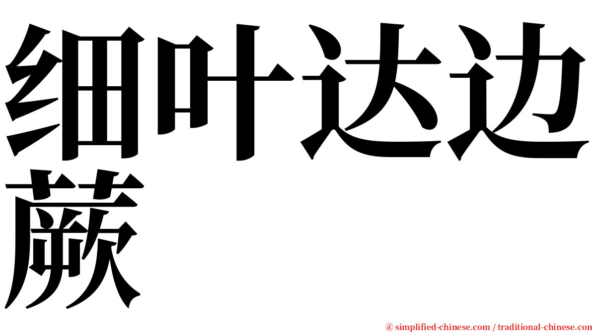 细叶达边蕨 serif font