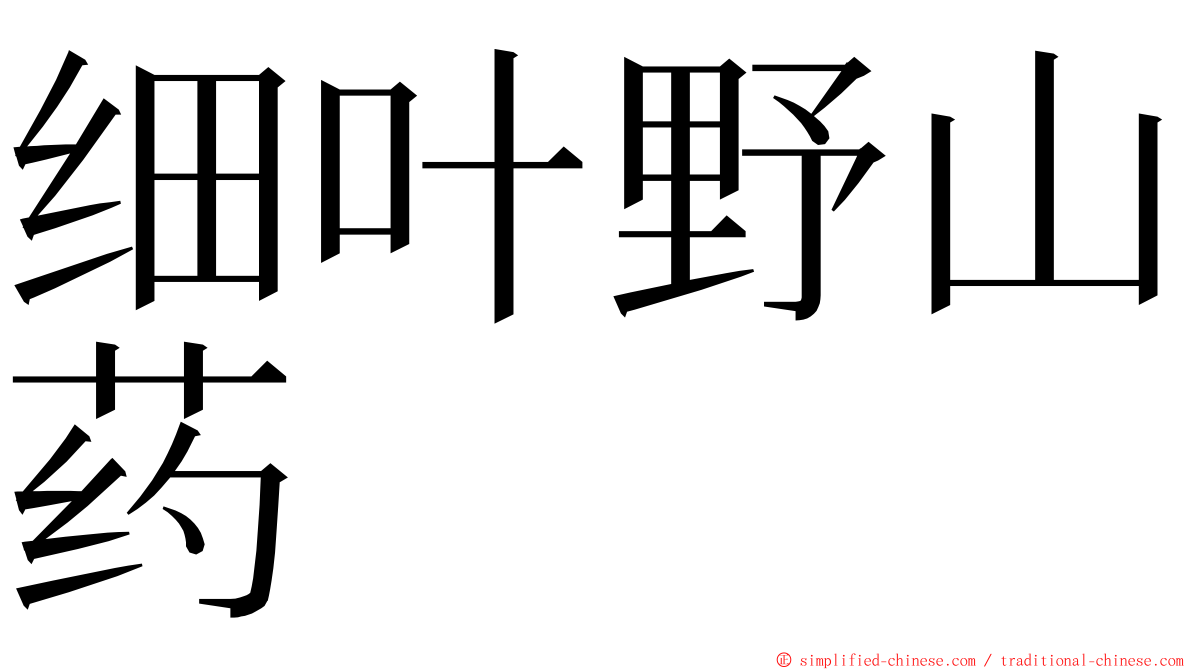 细叶野山药 ming font