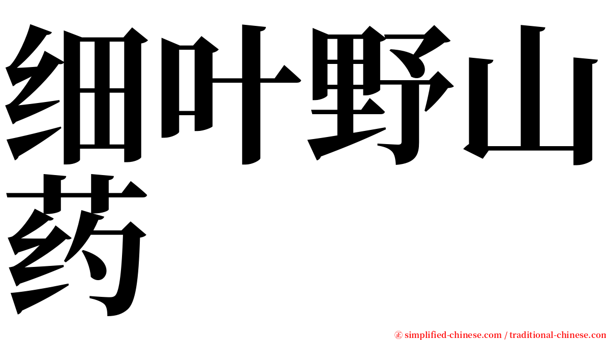 细叶野山药 serif font