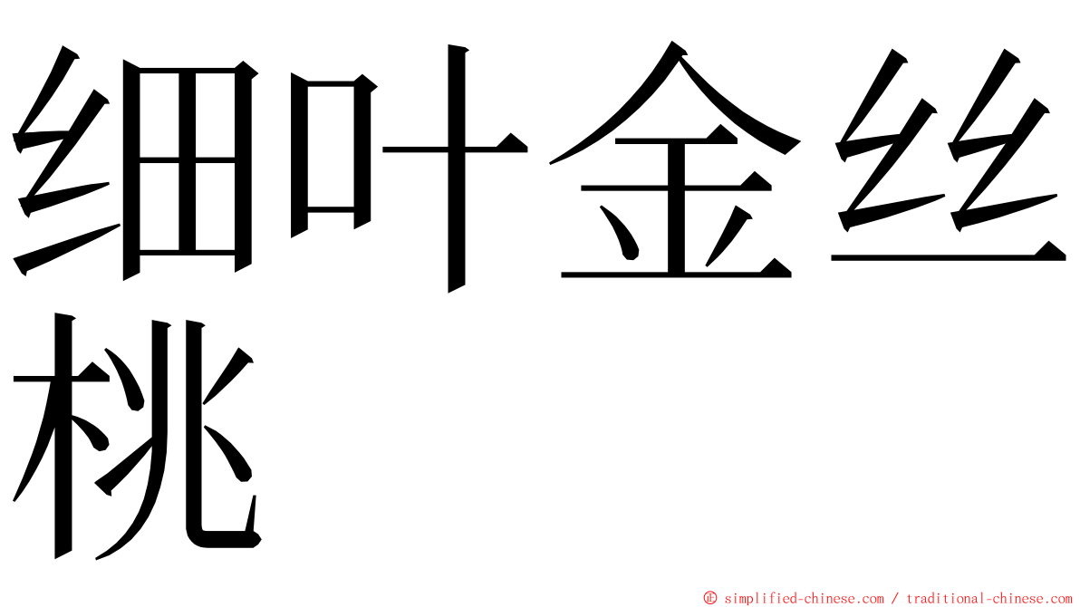 细叶金丝桃 ming font