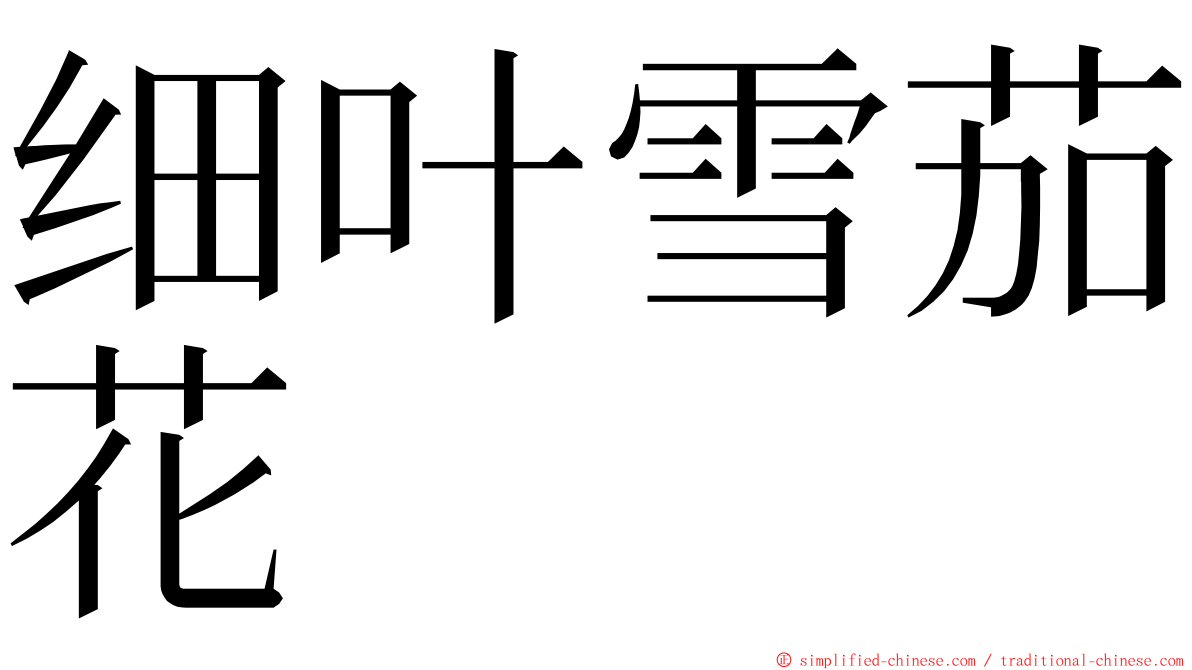 细叶雪茄花 ming font