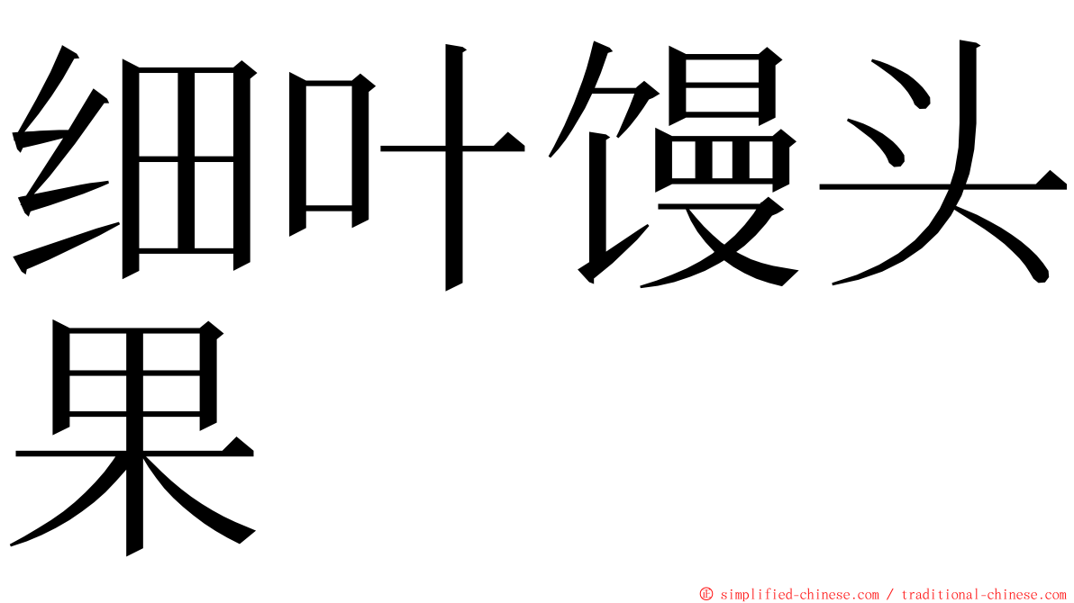 细叶馒头果 ming font