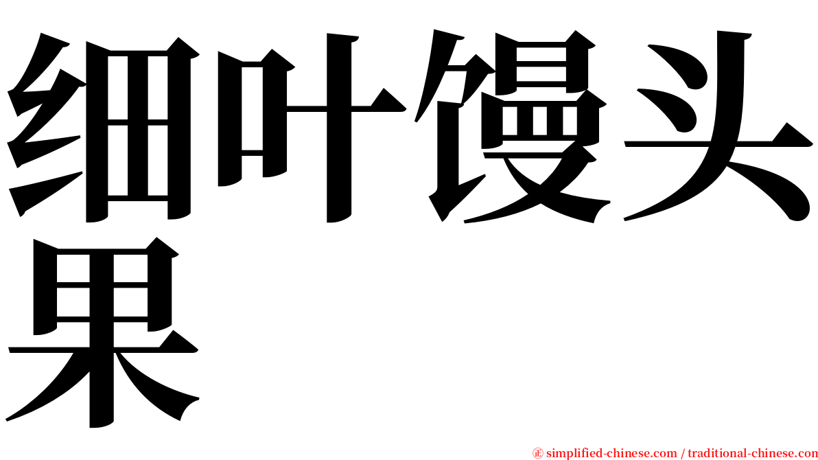 细叶馒头果 serif font