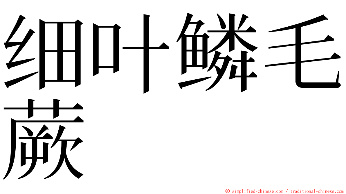 细叶鳞毛蕨 ming font