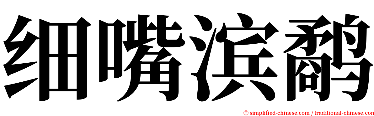 细嘴滨鹬 serif font