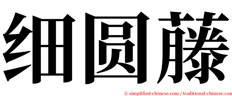 细圆藤 serif font