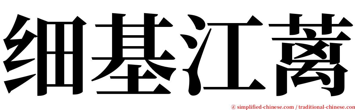 细基江蓠 serif font