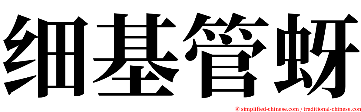 细基管蚜 serif font