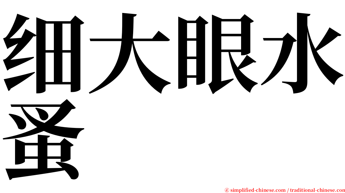 细大眼水蚤 serif font