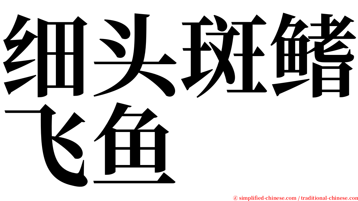 细头斑鳍飞鱼 serif font