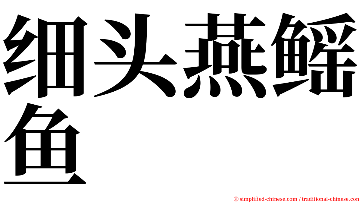 细头燕鳐鱼 serif font