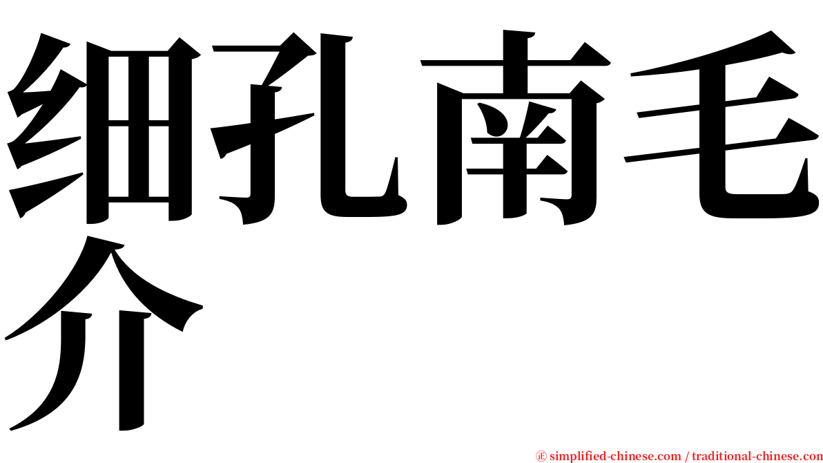 细孔南毛介 serif font