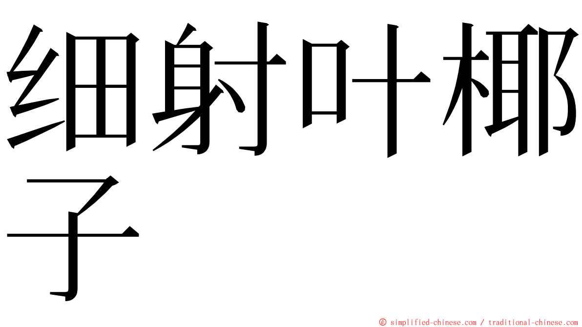 细射叶椰子 ming font