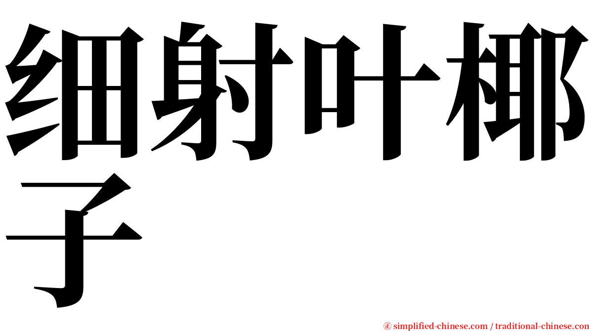 细射叶椰子 serif font