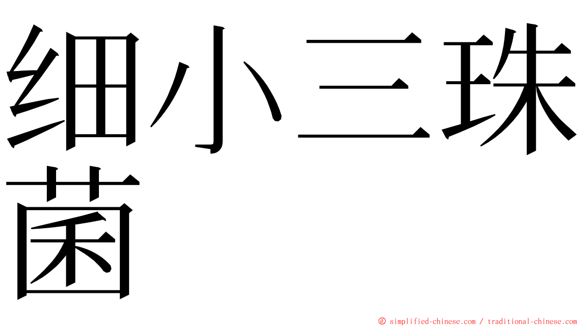 细小三珠菌 ming font