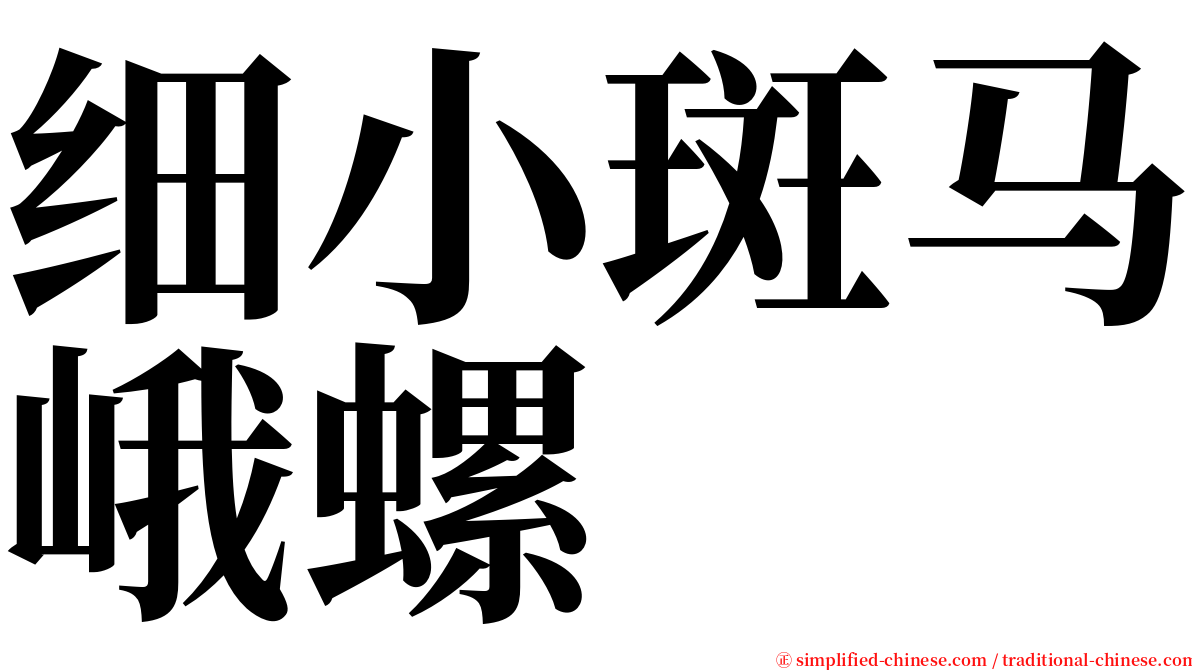 细小斑马峨螺 serif font