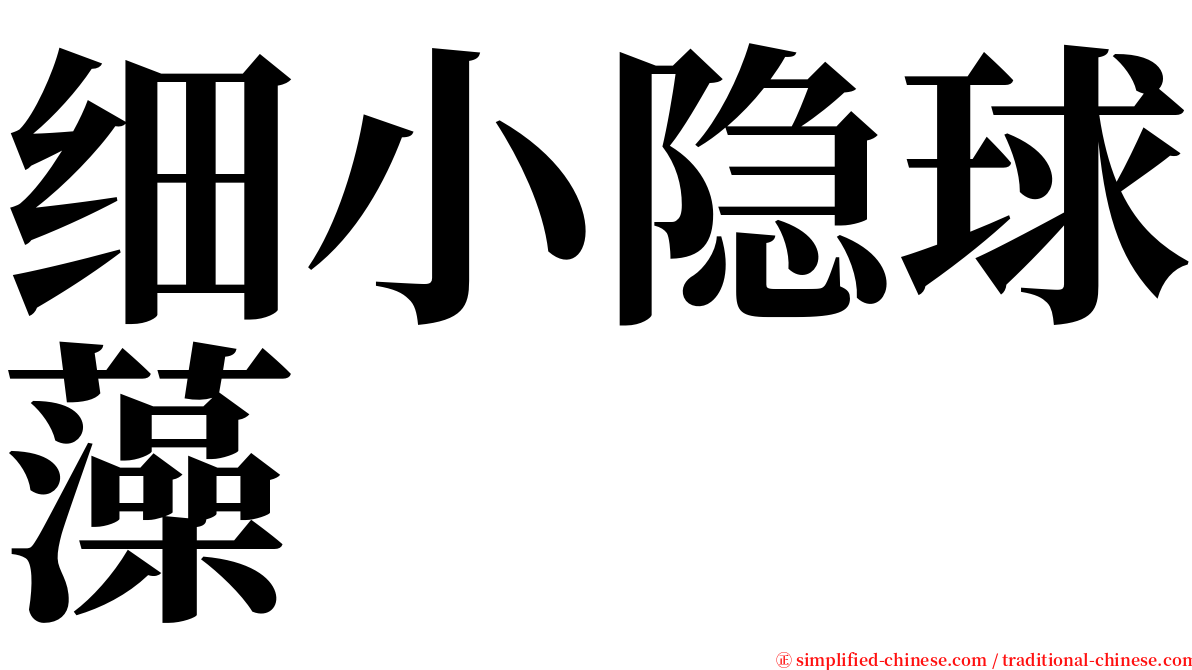 细小隐球藻 serif font