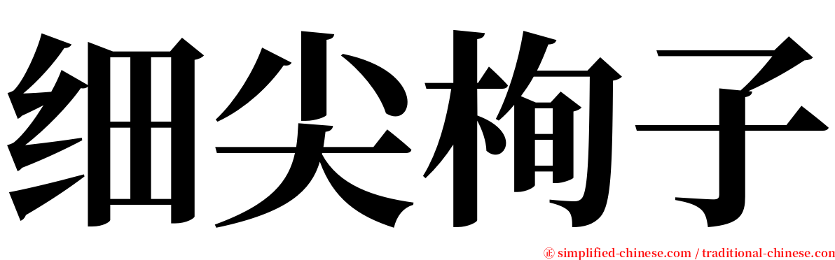 细尖栒子 serif font