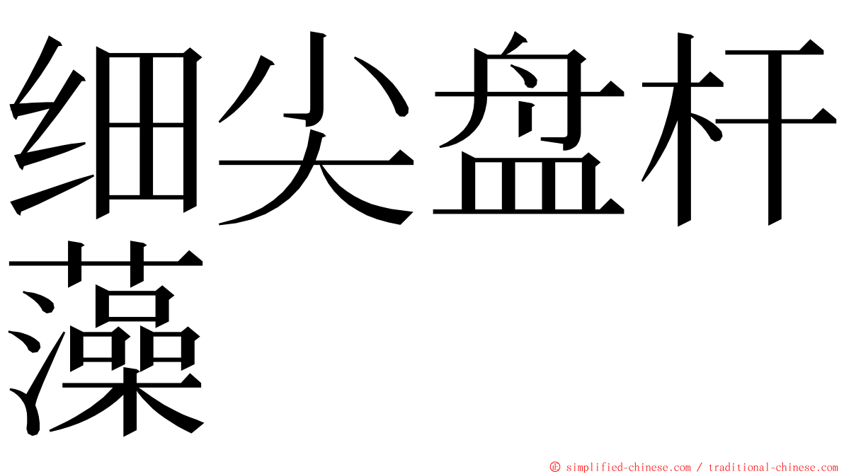 细尖盘杆藻 ming font