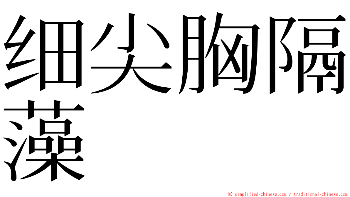 细尖胸隔藻 ming font