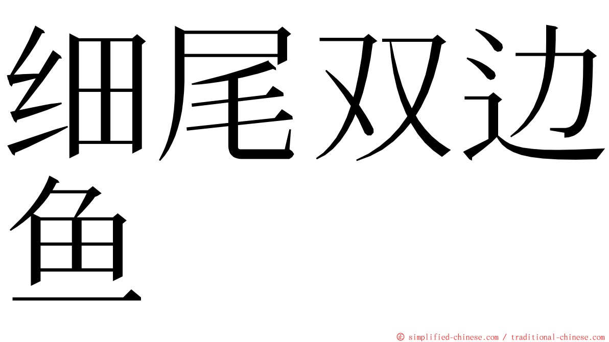 细尾双边鱼 ming font