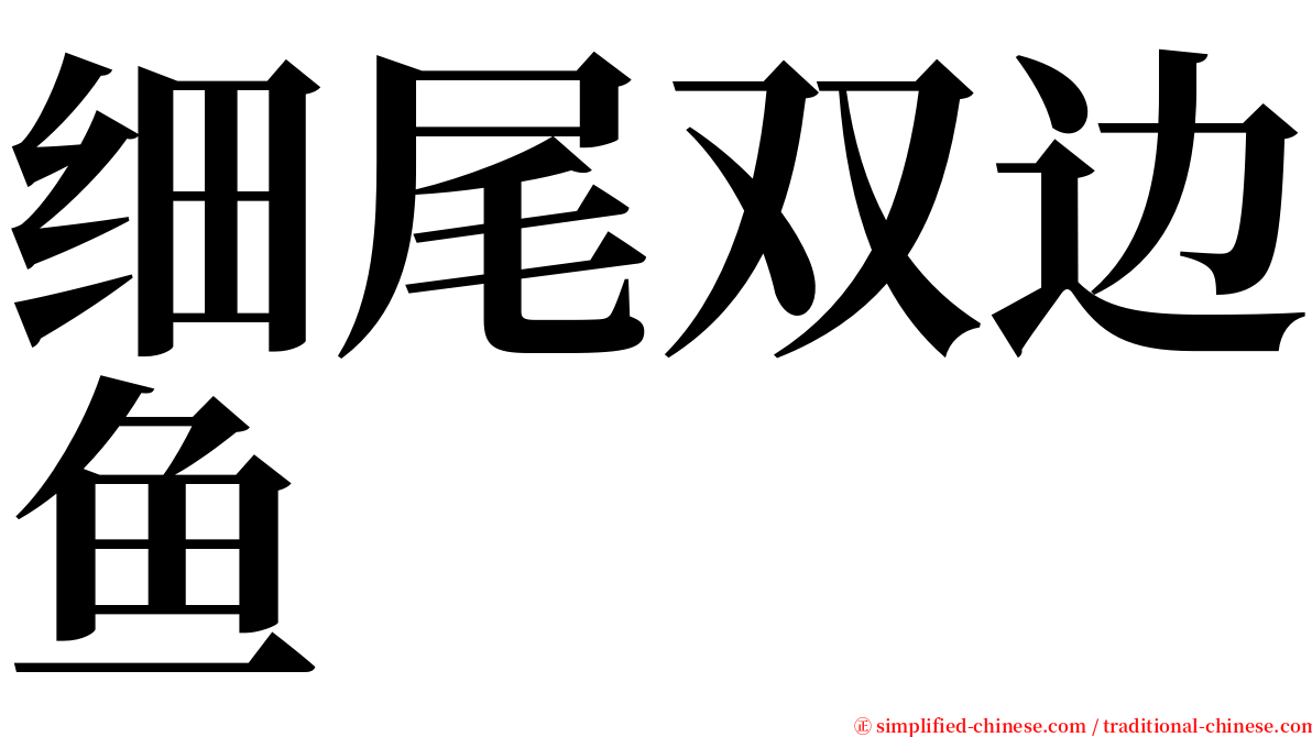 细尾双边鱼 serif font