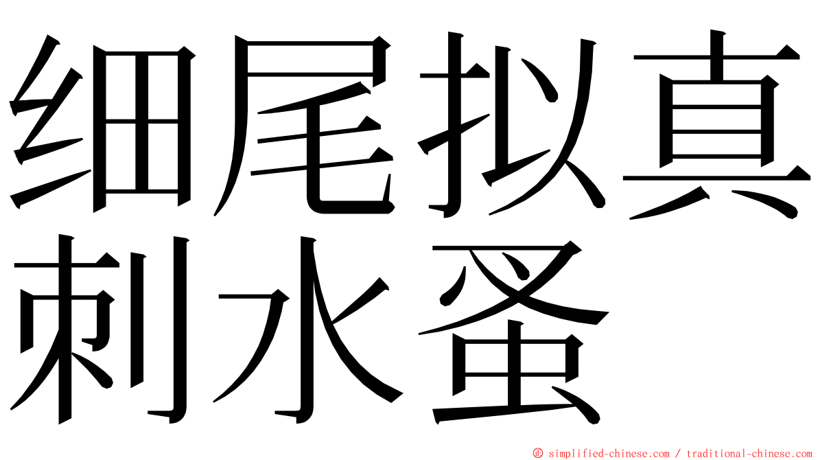 细尾拟真刺水蚤 ming font