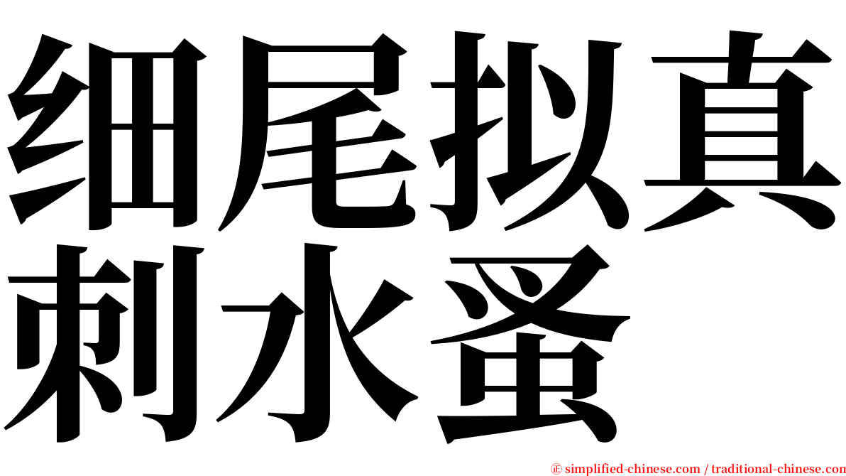 细尾拟真刺水蚤 serif font