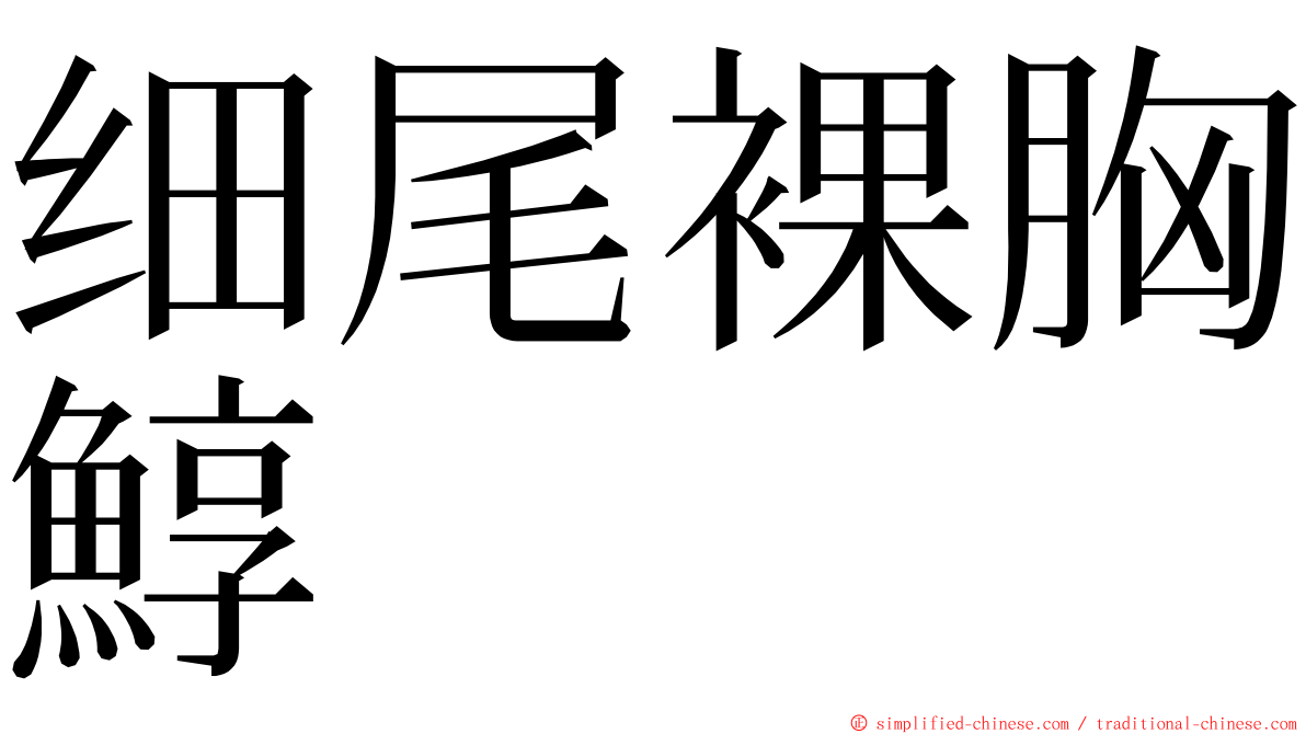 细尾裸胸鯙 ming font