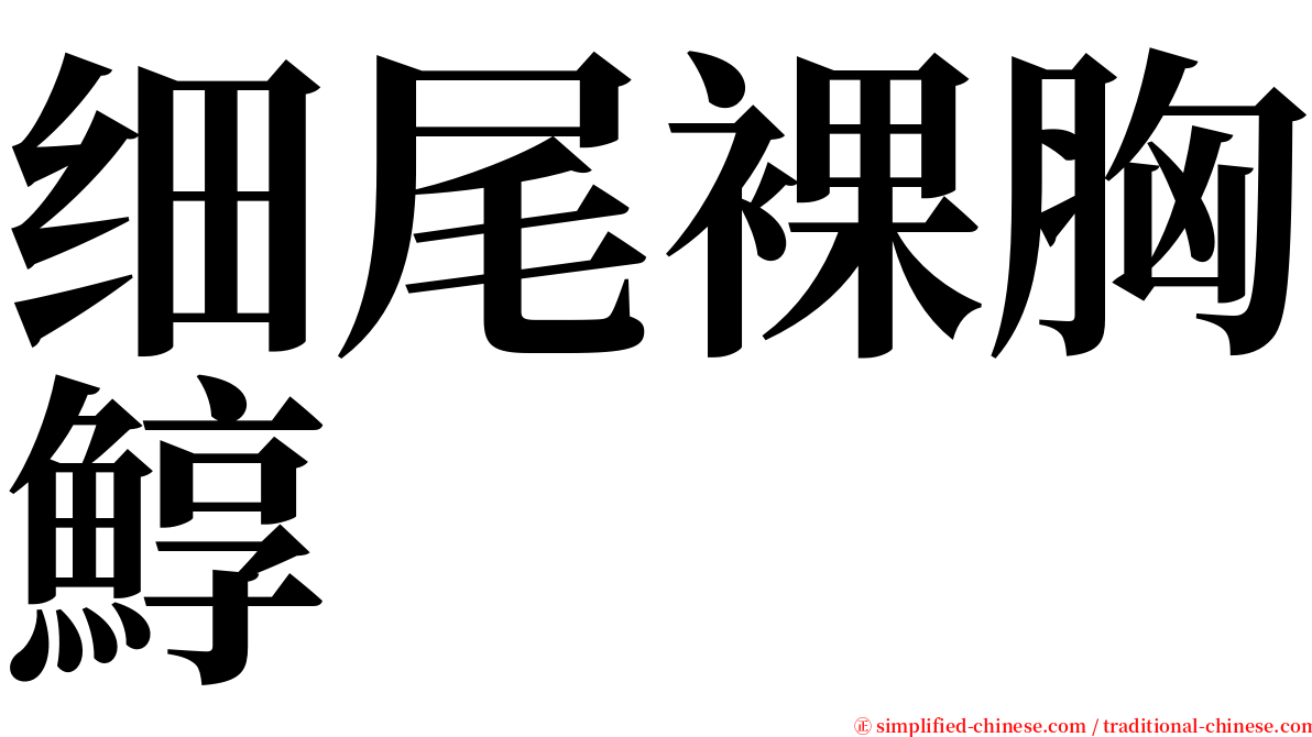 细尾裸胸鯙 serif font