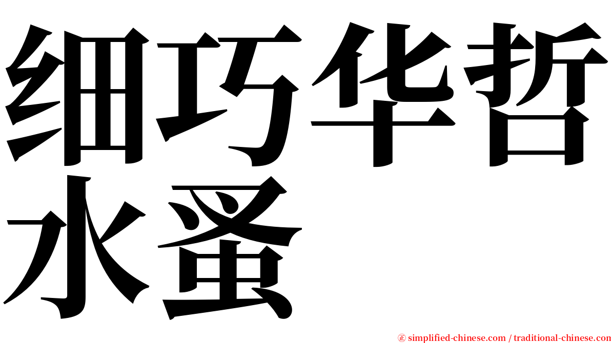 细巧华哲水蚤 serif font