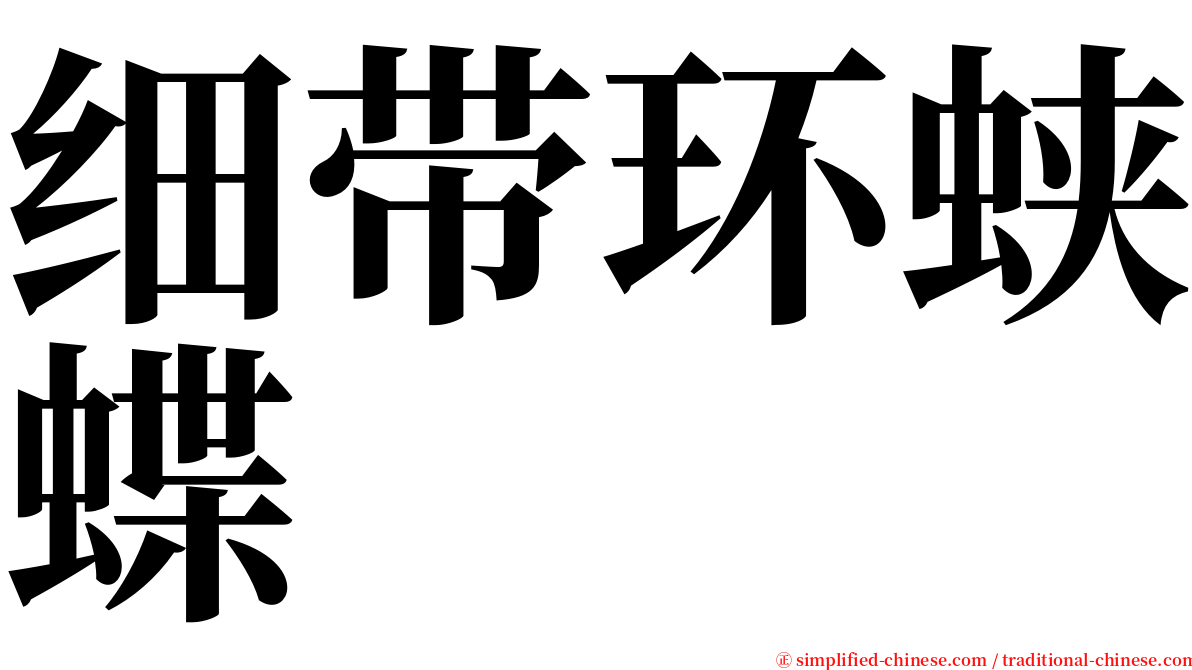 细带环蛱蝶 serif font