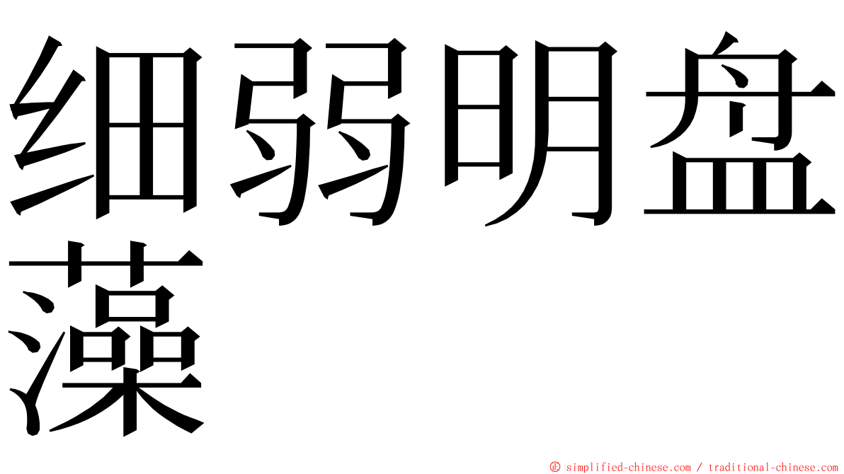 细弱明盘藻 ming font