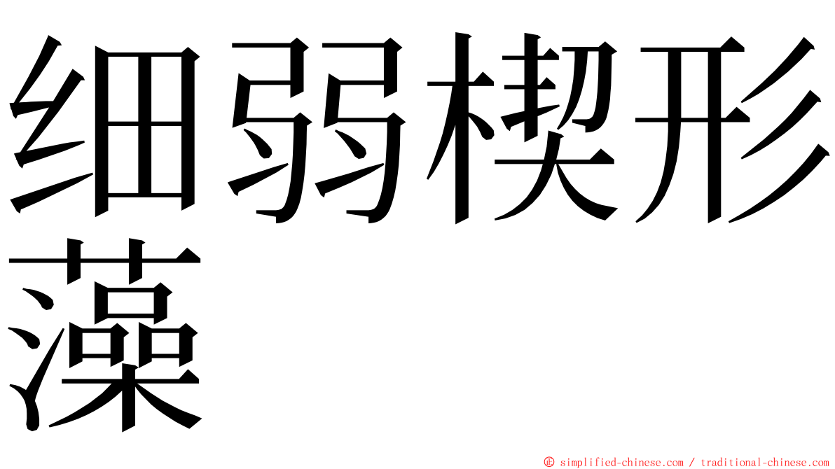 细弱楔形藻 ming font