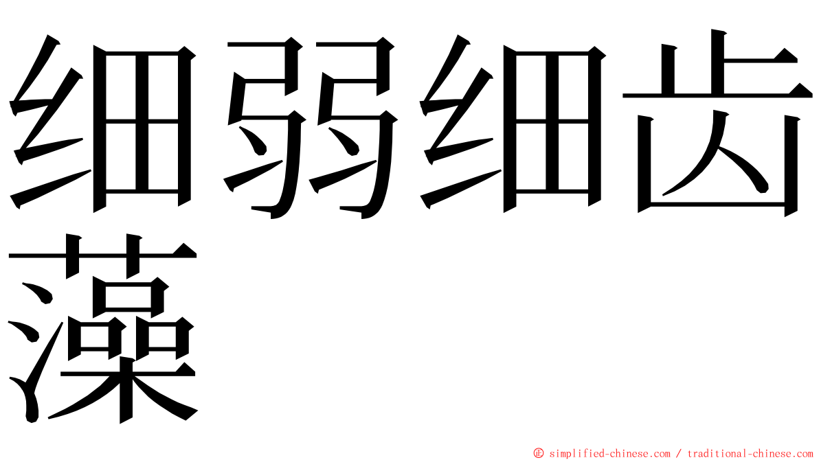 细弱细齿藻 ming font