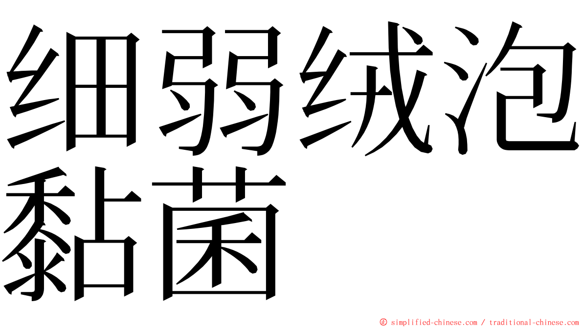 细弱绒泡黏菌 ming font