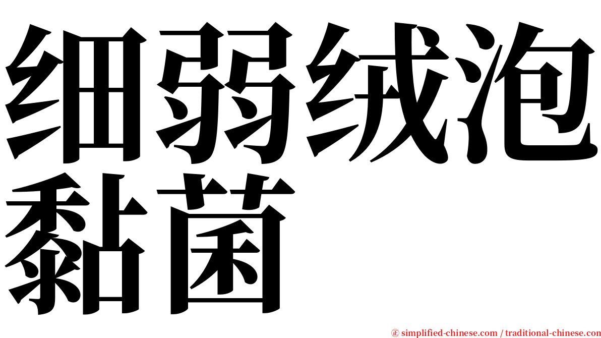 细弱绒泡黏菌 serif font