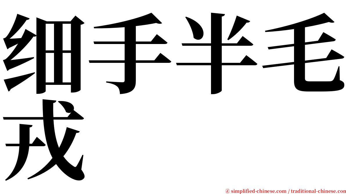 细手半毛戎 serif font